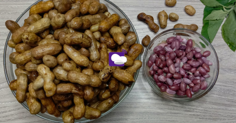 boiled-peanuts-recipe