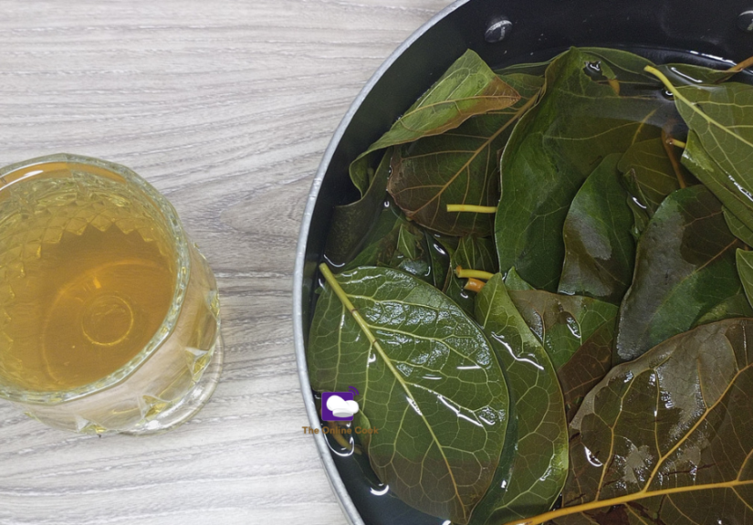 avocado-leaves-tea