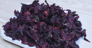 Zobo leaves