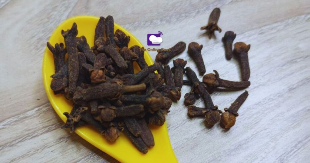 cloves-image-kanafuru