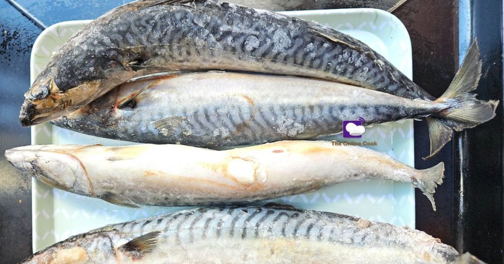 mackerel fish