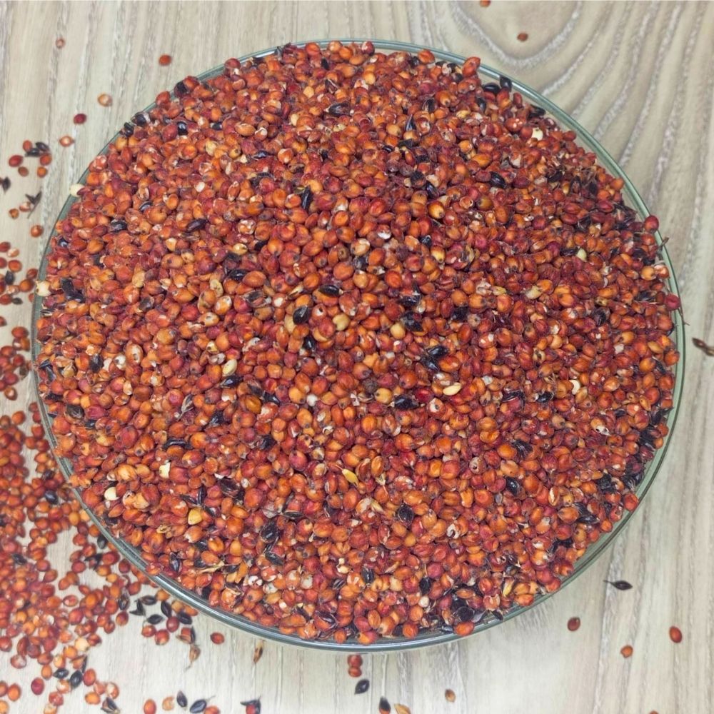 sorghum grains