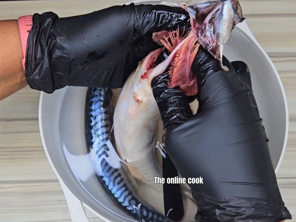 Hand removing the gills from inside the head