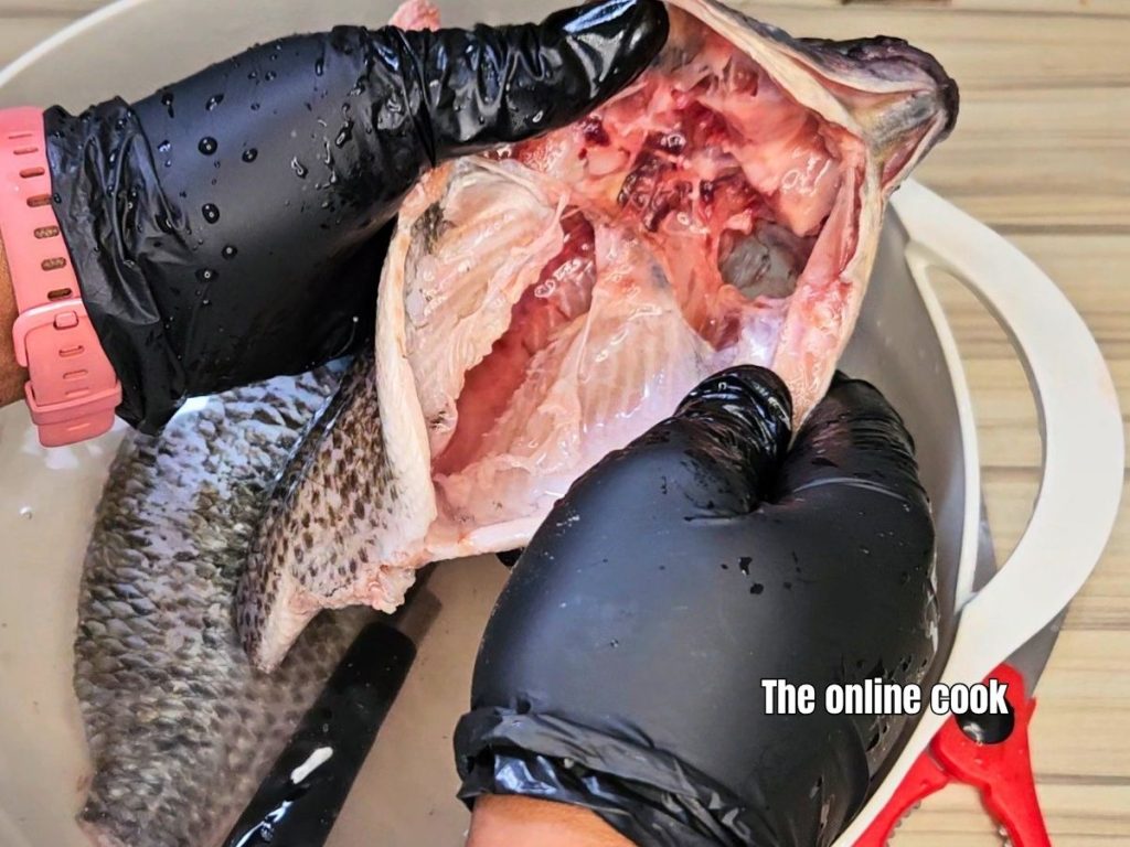 cleaning the inside of a tilapia fish after cutting the belly open