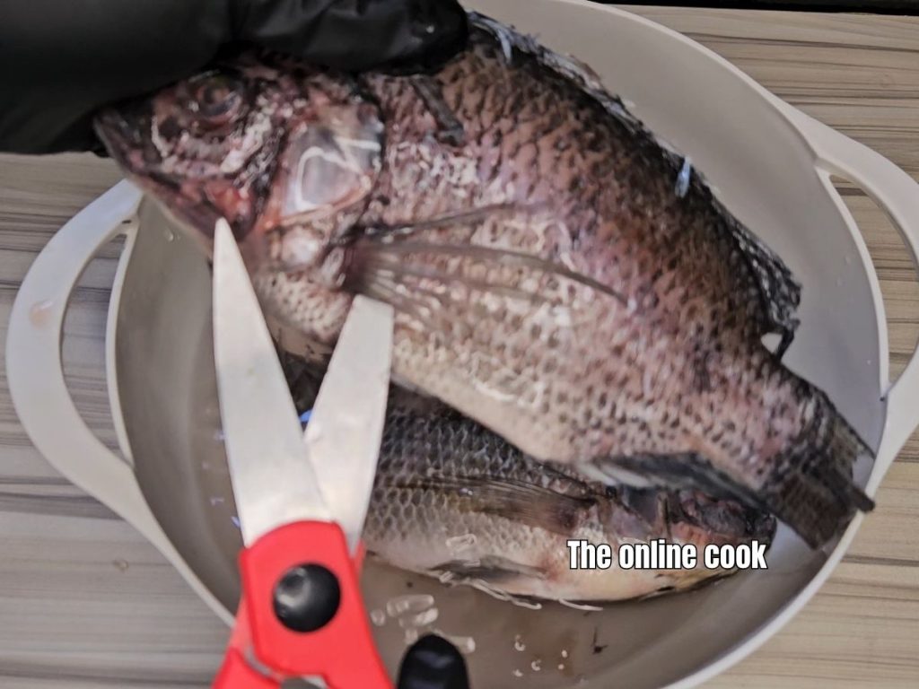 cutting tilapia fish fins