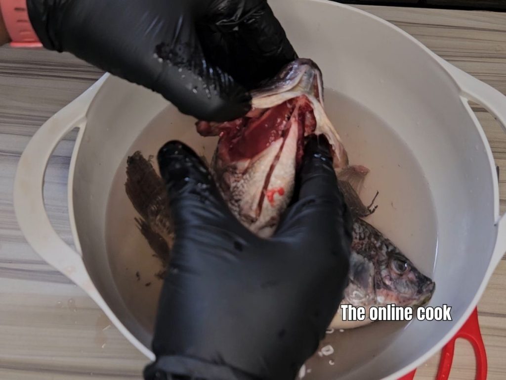 removing whole tilapia fish gut